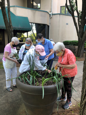 senior-living-marietta-garden-club